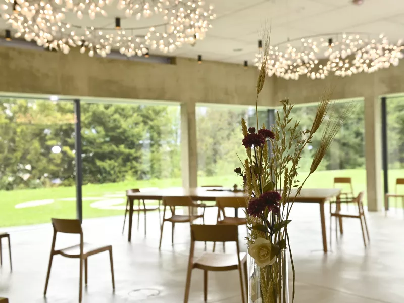 Salle de mariages de Lancy en images 